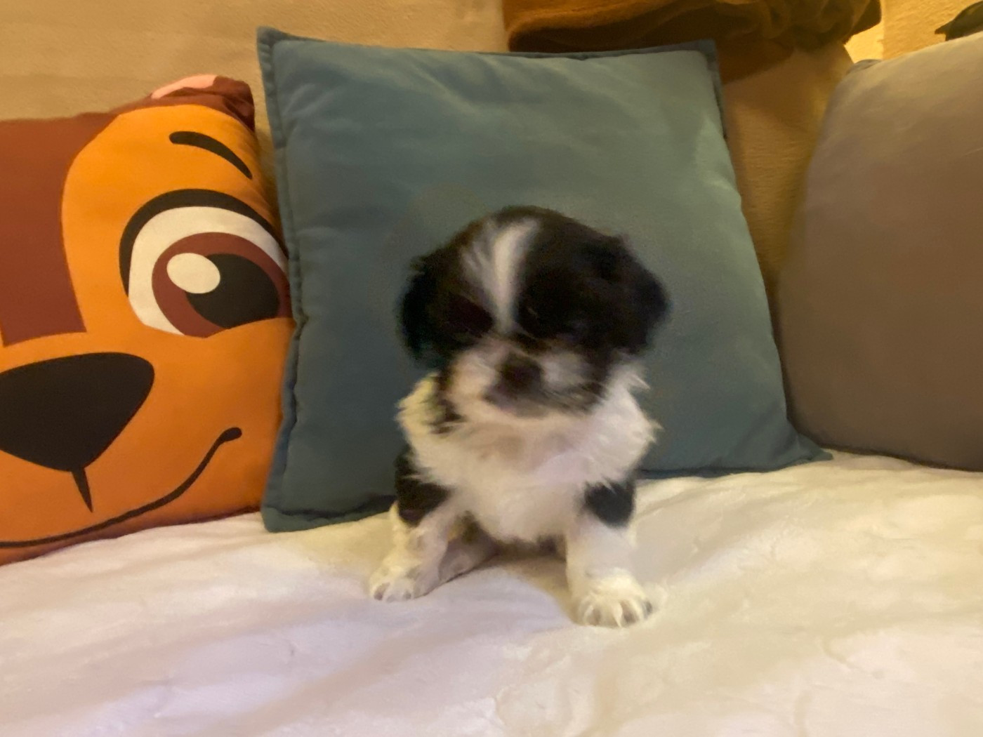 BEBE Réré